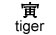 tiger